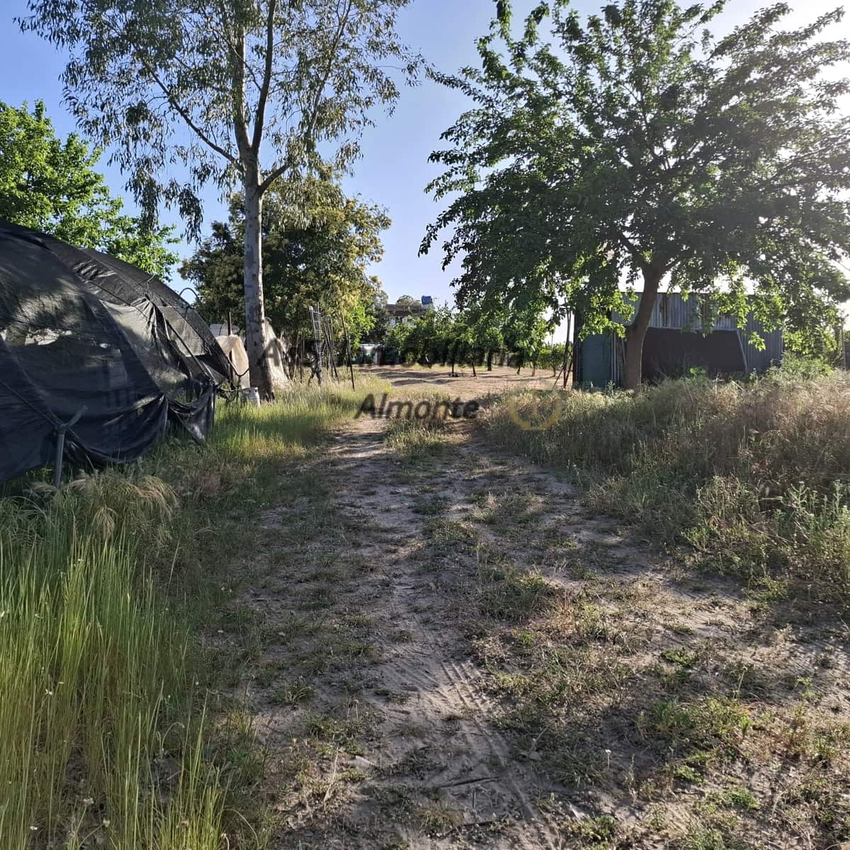 Finca/Casa Rural de 4 habitaciones en Almonte en venta con piscina garaje - 155.000 € (Ref: 9800616)