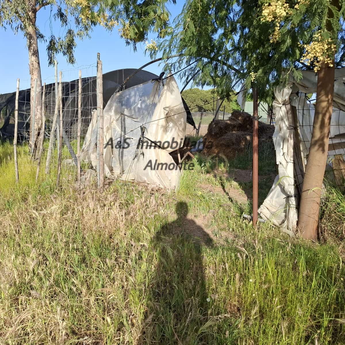 Finca/Casa Rural de 4 habitaciones en Almonte en venta con piscina garaje - 155.000 € (Ref: 9800616)