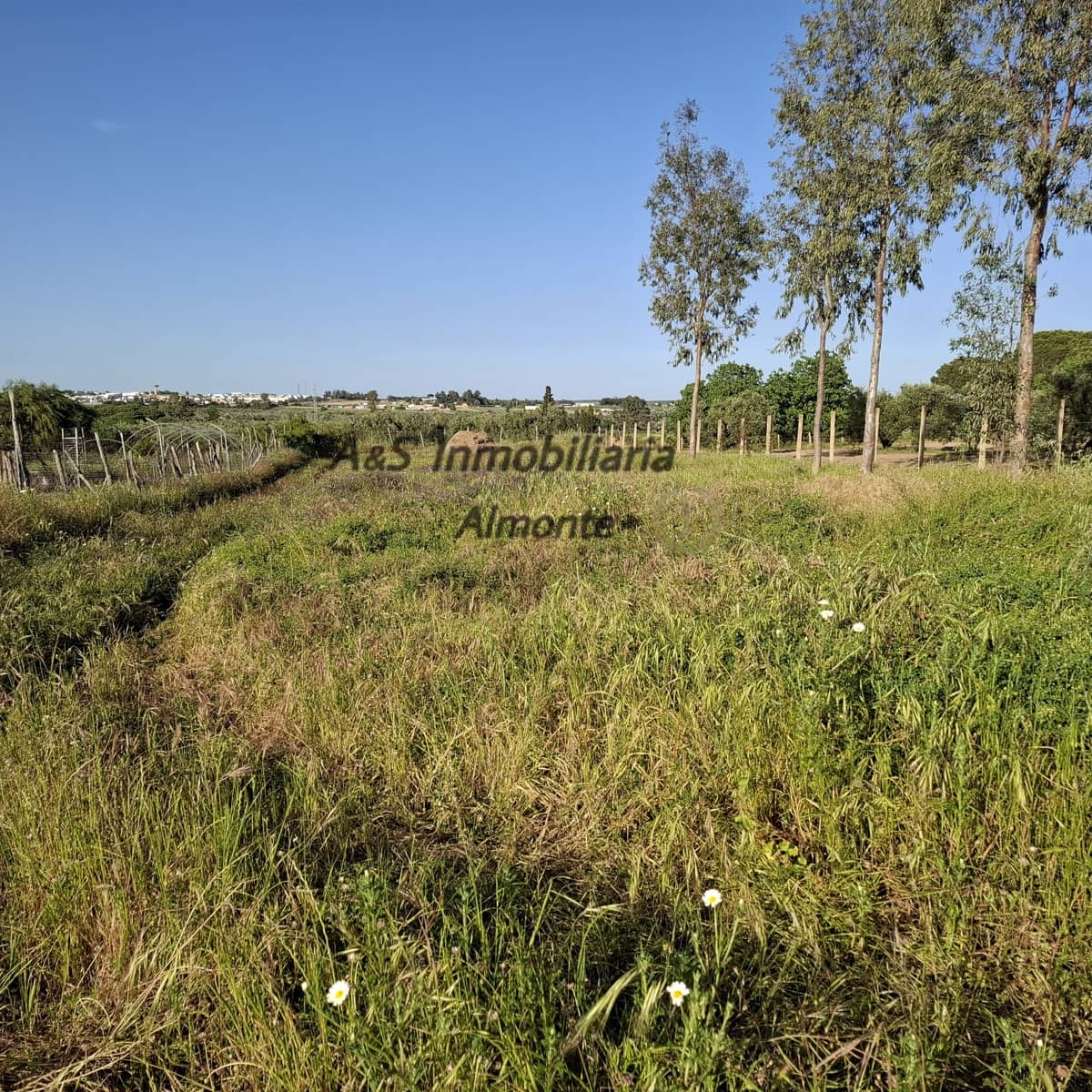 Finca/Casa Rural de 4 habitaciones en Almonte en venta con piscina garaje - 155.000 € (Ref: 9800616)