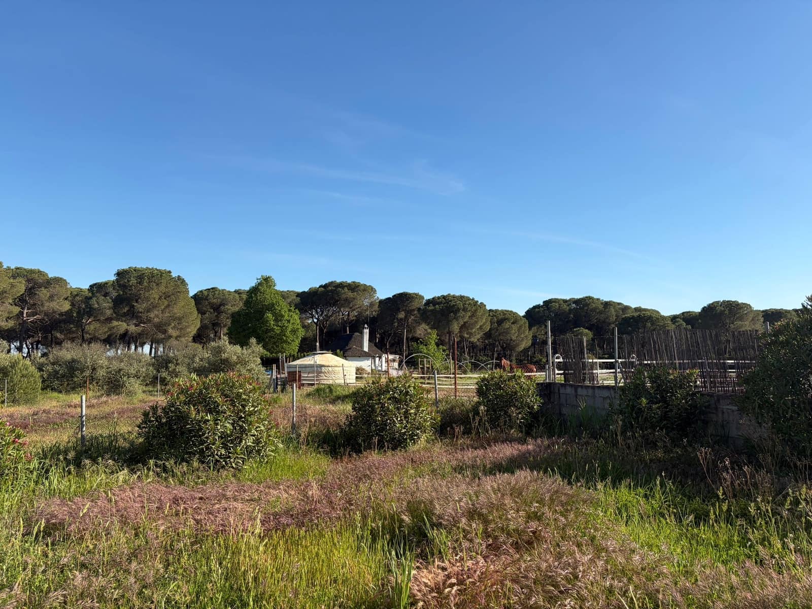 4 quarto Quinta/Casa Rural para venda em Almonte com garagem - 125 000 € (Ref: 9826654)