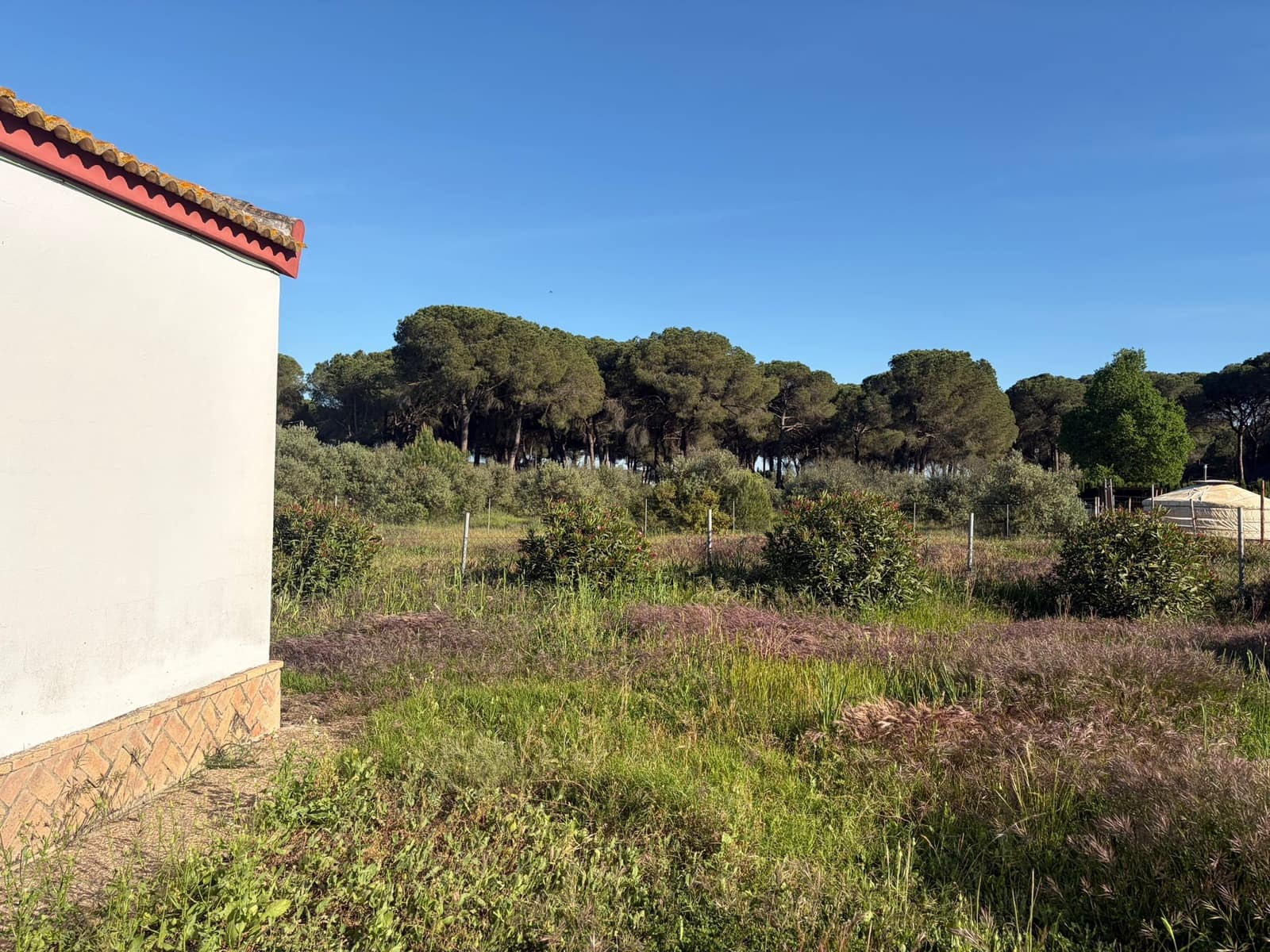 4 quarto Quinta/Casa Rural para venda em Almonte com garagem - 125 000 € (Ref: 9826654)