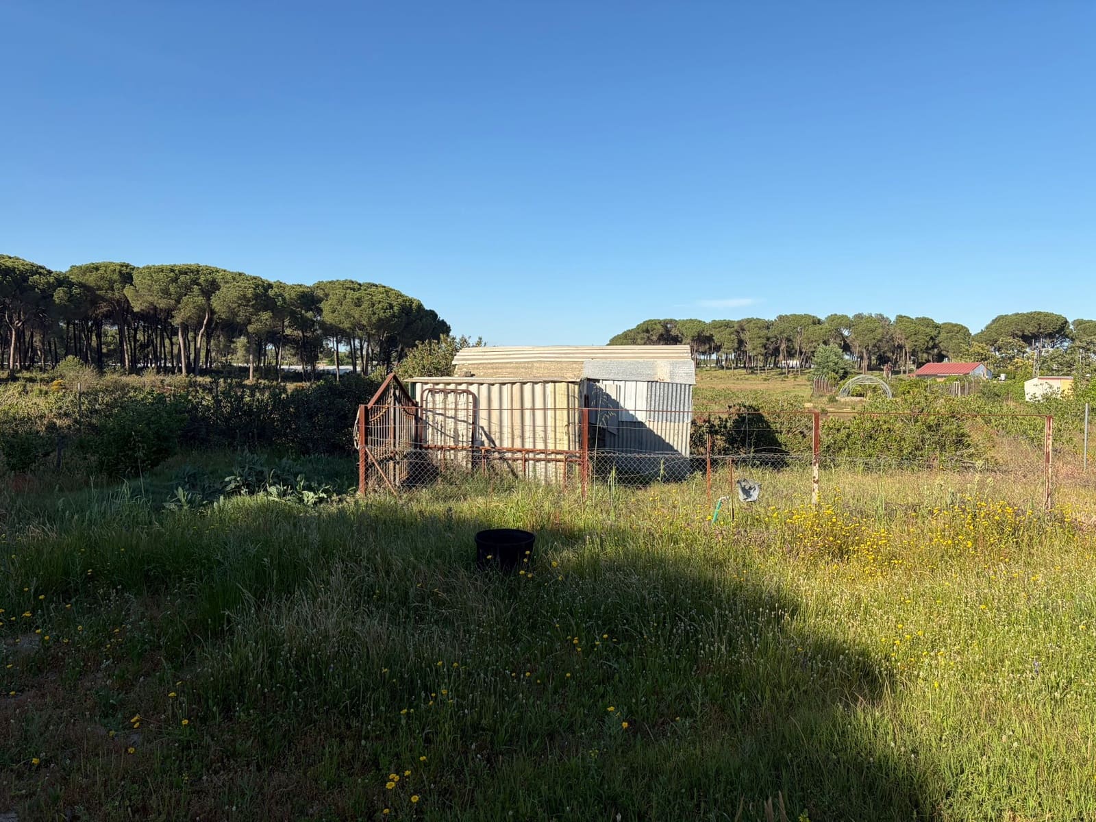 4 quarto Quinta/Casa Rural para venda em Almonte com garagem - 125 000 € (Ref: 9826654)