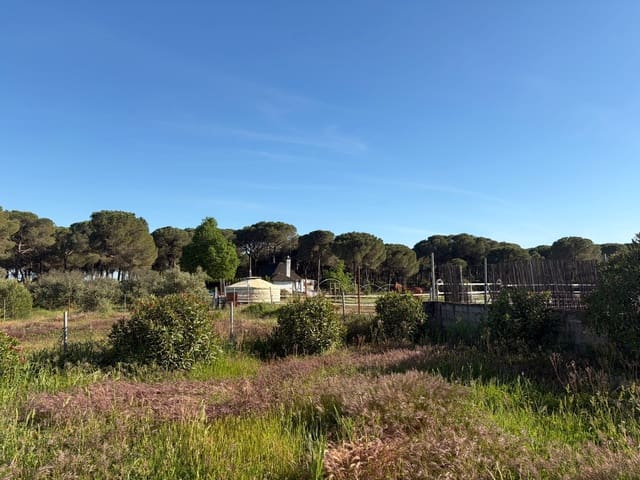 4 soverom Finca/Herregård til salgs i Almonte med garasje - € 125 000 (Ref: 9826654)
