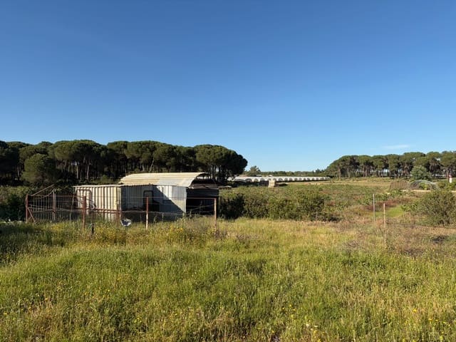 4 soverom Finca/Herregård til salgs i Almonte med garasje - € 125 000 (Ref: 9826654)