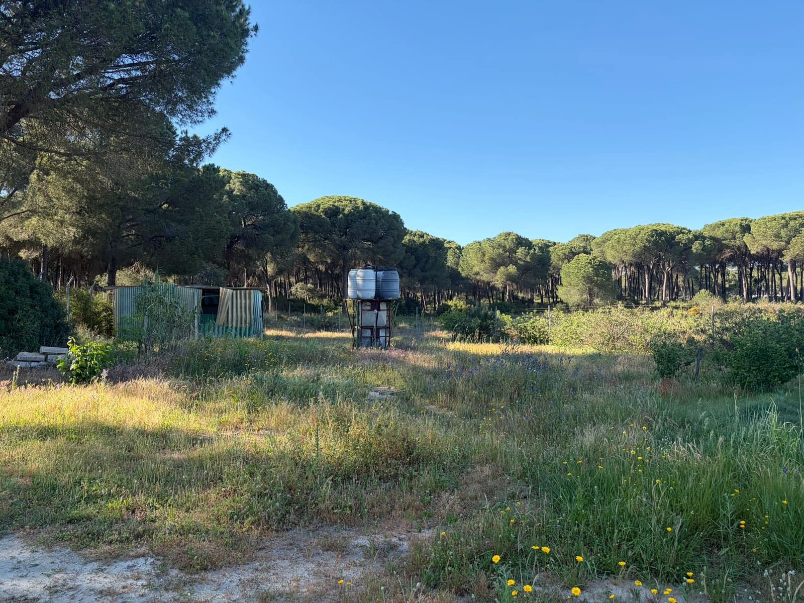4 quarto Quinta/Casa Rural para venda em Almonte com garagem - 125 000 € (Ref: 9826654)