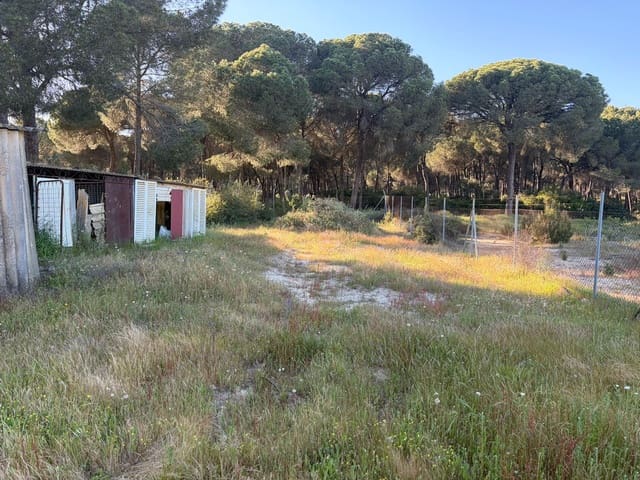4 soverom Finca/Herregård til salgs i Almonte med garasje - € 125 000 (Ref: 9826654)