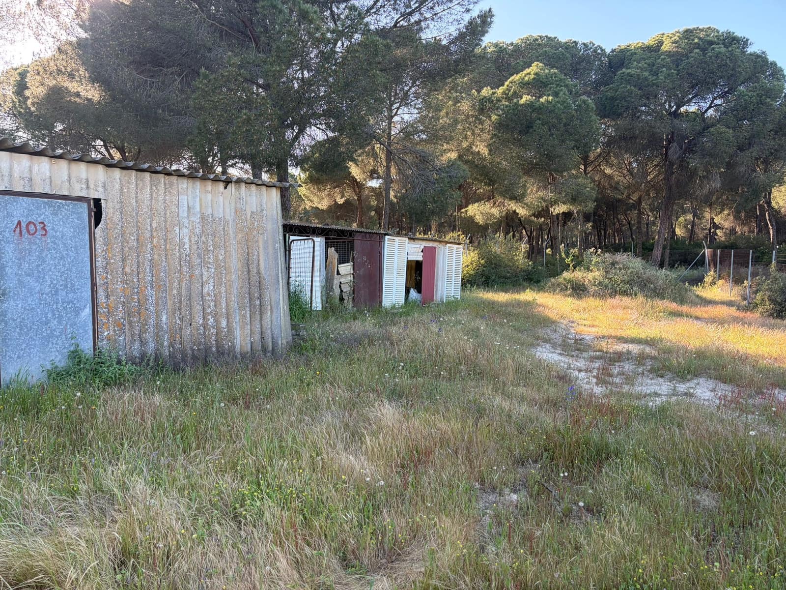 4 quarto Quinta/Casa Rural para venda em Almonte com garagem - 125 000 € (Ref: 9826654)