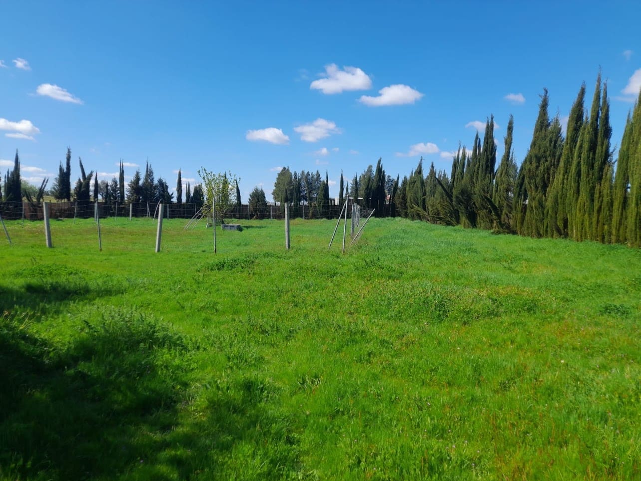 Finca/Herregård til salgs i Almonte med garasje - € 43 000 (Ref: 9826685)