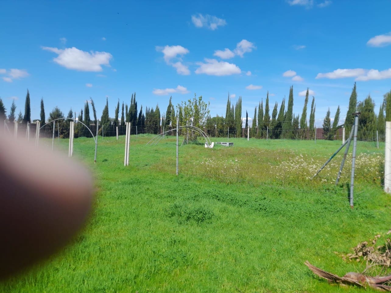 Finca/Herregård til salgs i Almonte med garasje - € 43 000 (Ref: 9826685)