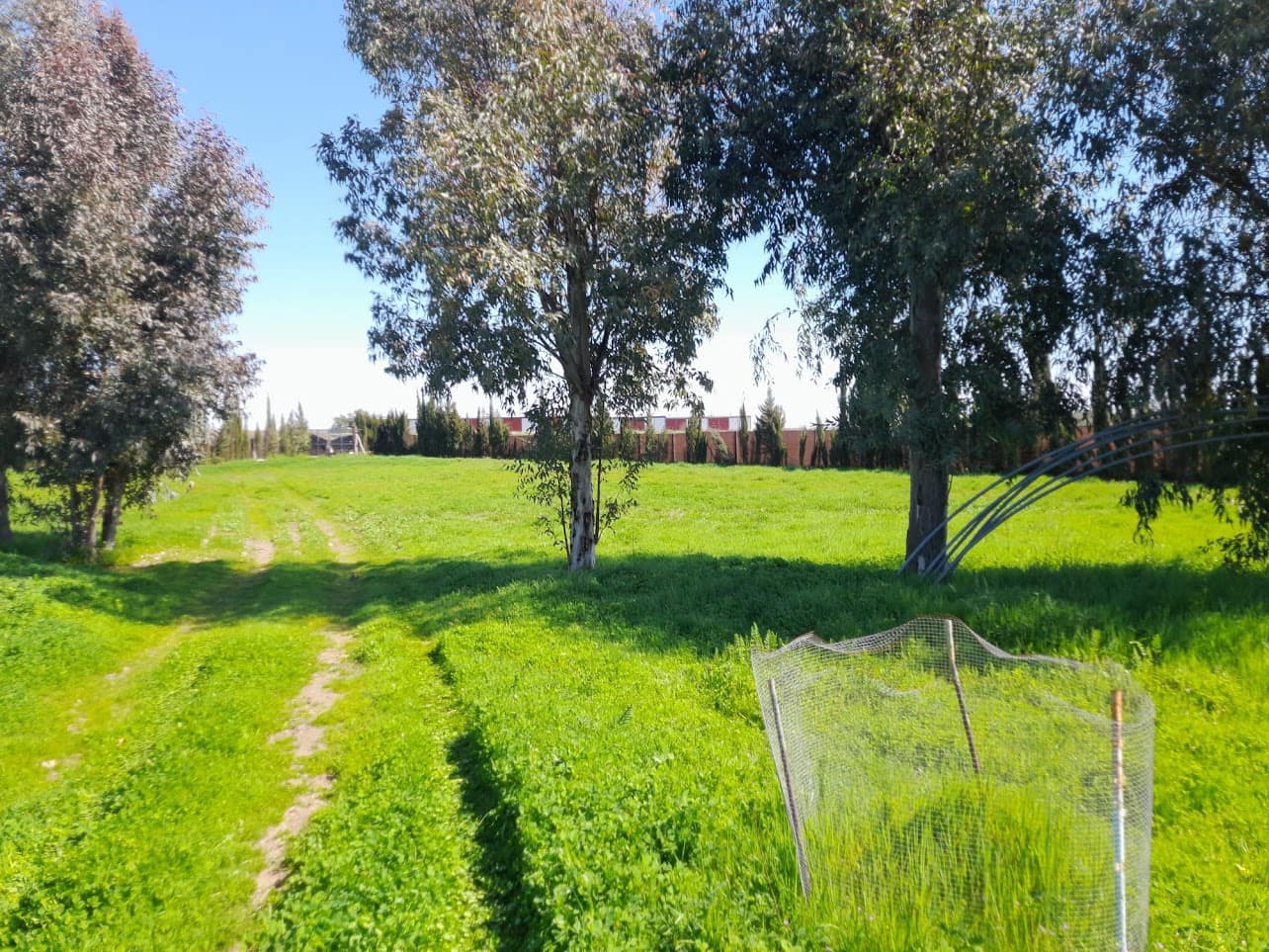 Finca/Herregård til salgs i Almonte med garasje - € 43 000 (Ref: 9826685)