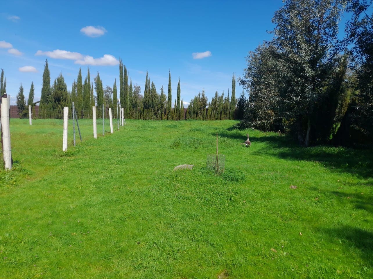 Finca/Herregård til salgs i Almonte med garasje - € 43 000 (Ref: 9826685)