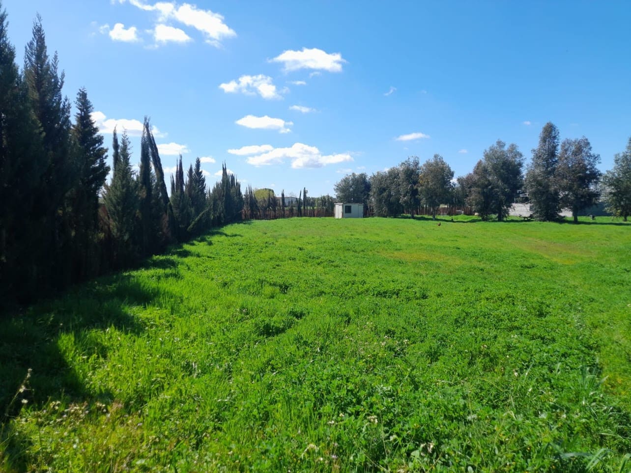 Finca/Herregård til salgs i Almonte med garasje - € 43 000 (Ref: 9826685)