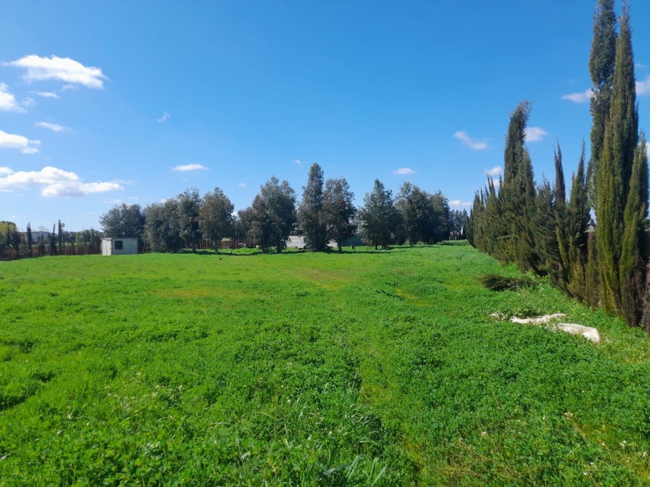 Finca/Herregård til salgs i Almonte med garasje - € 43 000 (Ref: 9826685)