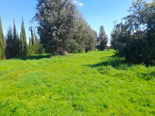 Finca/Herregård til salgs i Almonte med garasje - € 43 000 (Ref: 9826685)