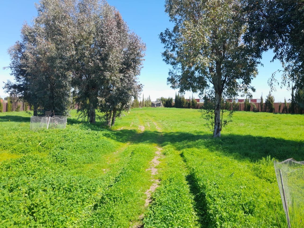 Finca/Herregård til salgs i Almonte med garasje - € 43 000 (Ref: 9826685)