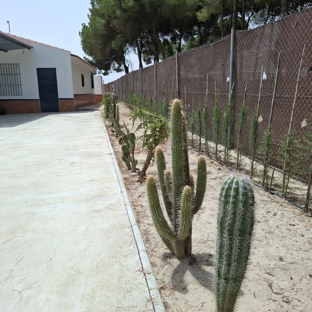 2 bedroom Finca/Country House for sale in Almonte with pool garage - € 120,000 (Ref: 9973265)