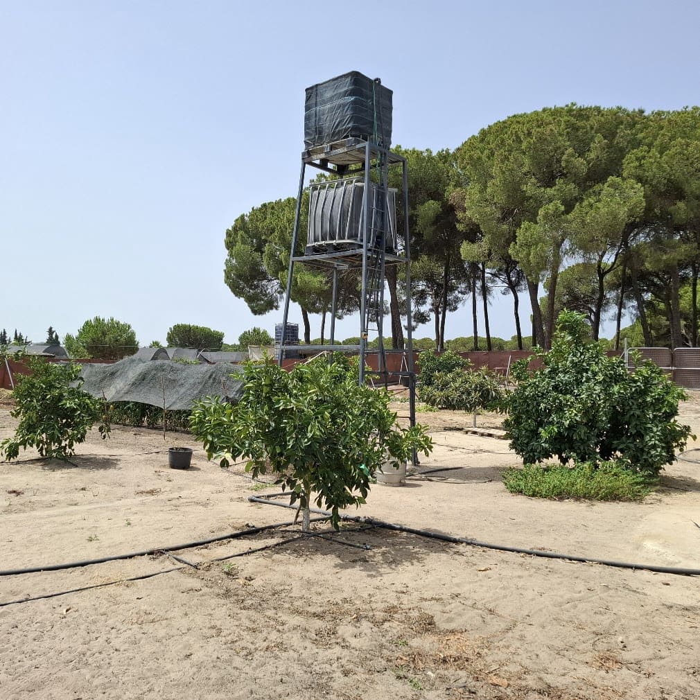 2 bedroom Finca/Country House for sale in Almonte with pool garage - € 120,000 (Ref: 9973265)