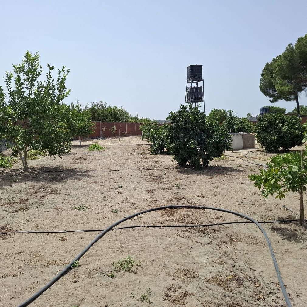 2 bedroom Finca/Country House for sale in Almonte with pool garage - € 120,000 (Ref: 9973265)