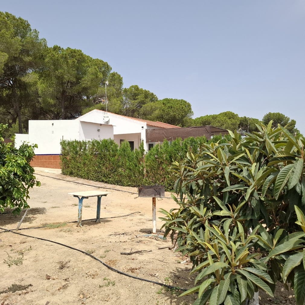 2 bedroom Finca/Country House for sale in Almonte with pool garage - € 120,000 (Ref: 9973265)