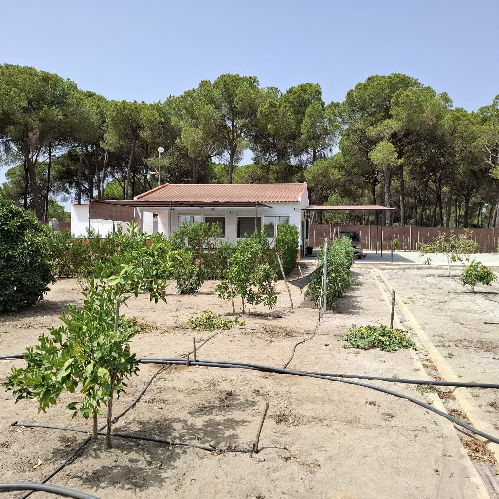 2 bedroom Finca/Country House for sale in Almonte with pool garage - € 120,000 (Ref: 9973265)