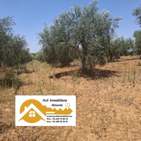 Terreno/Finca Rústica en Almonte en venta - 34.000 € (Ref: 9994185)