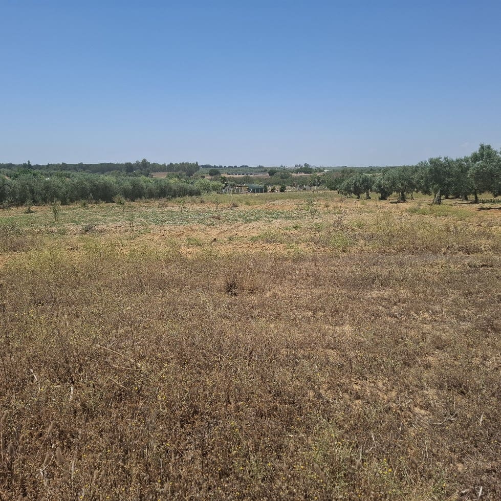 Terreno/Finca Rústica en Almonte en venta - 34.000 € (Ref: 9994185)