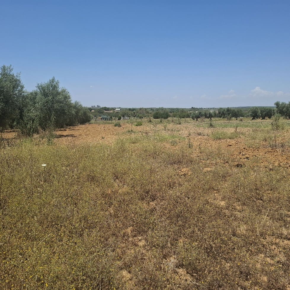 Terreno/Finca Rústica en Almonte en venta - 34.000 € (Ref: 9994185)