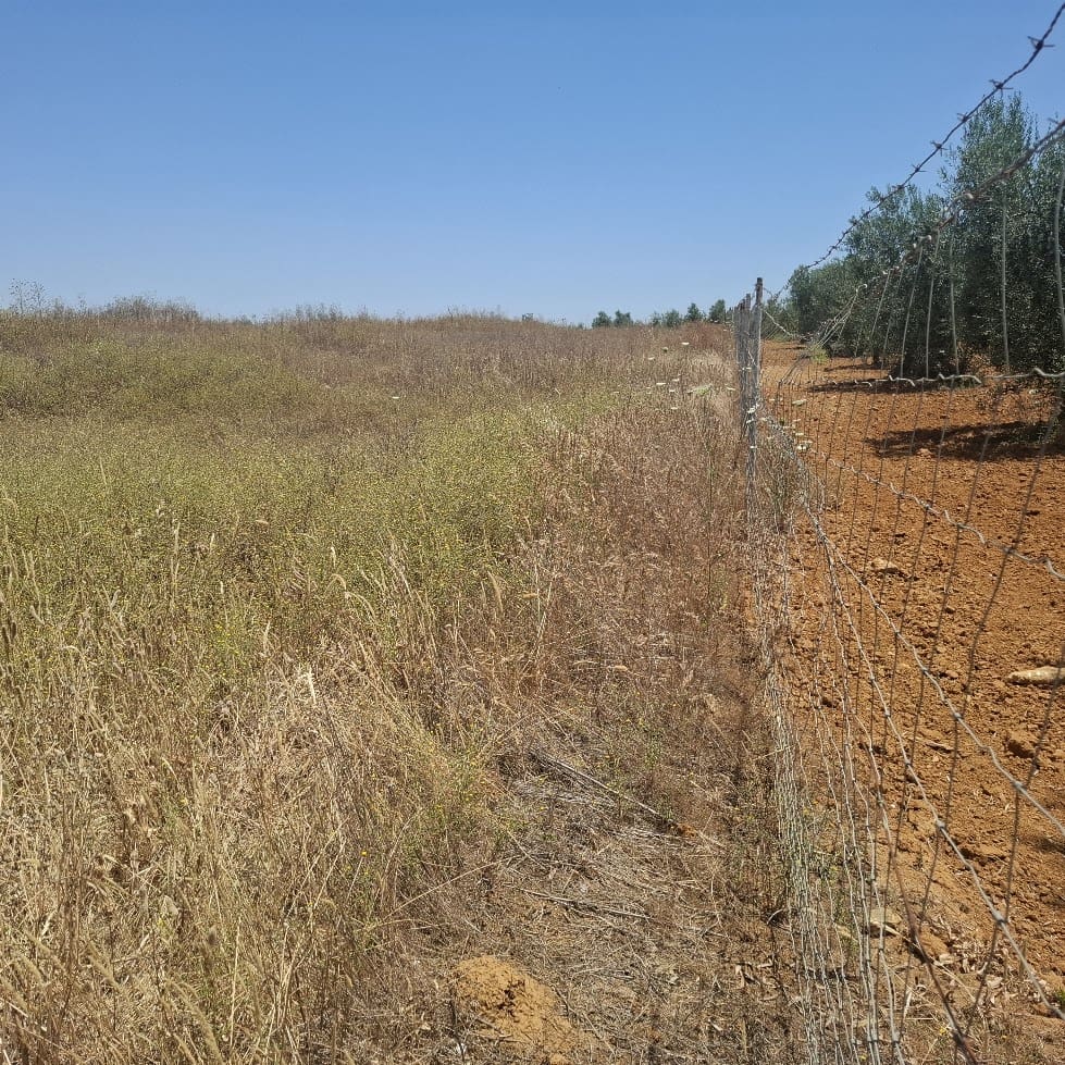 Terreno/Finca Rústica en Almonte en venta - 34.000 € (Ref: 9994185)