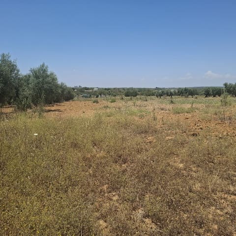 Terreno/Finca Rústica en Almonte en venta - 34.000 € (Ref: 9994185)