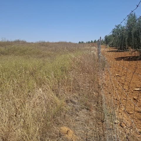 Terreno/Finca Rústica en Almonte en venta - 34.000 € (Ref: 9994185)