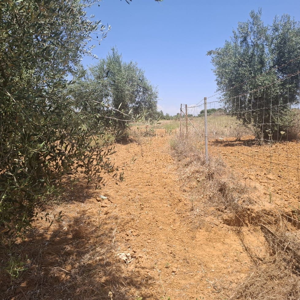 Terreno/Finca Rústica en Almonte en venta - 34.000 € (Ref: 9994185)