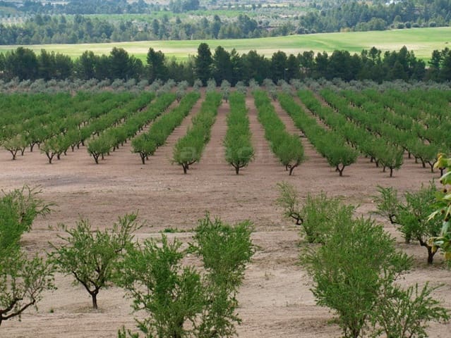 12 camera da letto Finca/Casa di Campagna in vendita in Penàguila con garage - 1.400.000 € (Rif: 8301268)