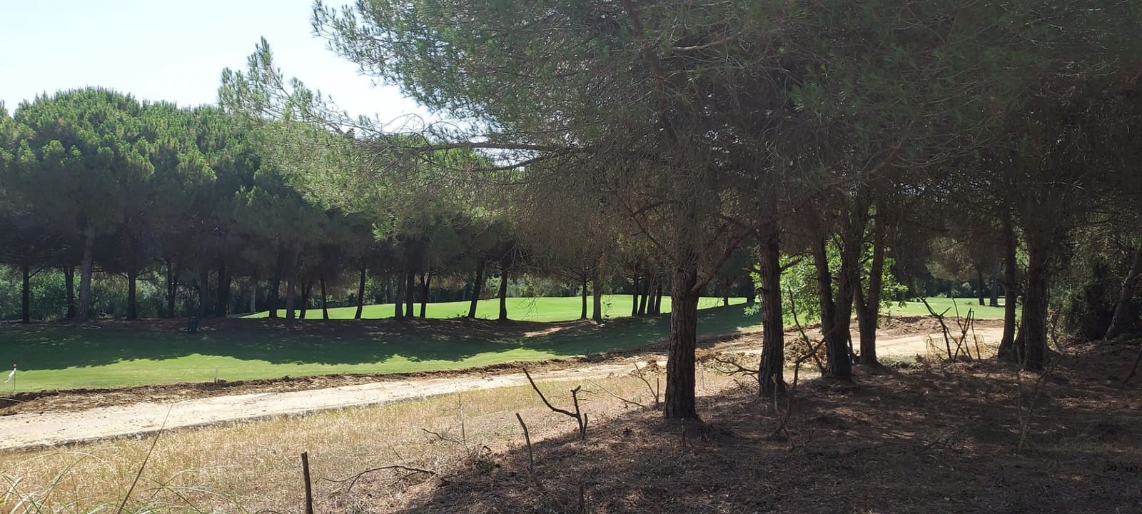 Byggegrund til salg i Sotogrande - € 950.000 (Ref: 8161114)