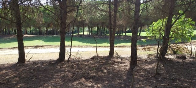 Byggegrund til salg i Sotogrande Alto, San Roque - € 950.000 (Ref: 8161114)