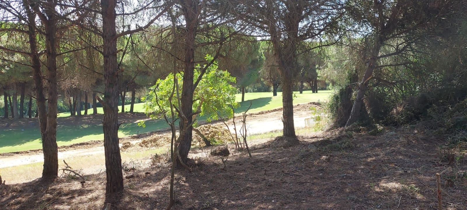 Byggegrund til salg i Sotogrande - € 950.000 (Ref: 8161114)