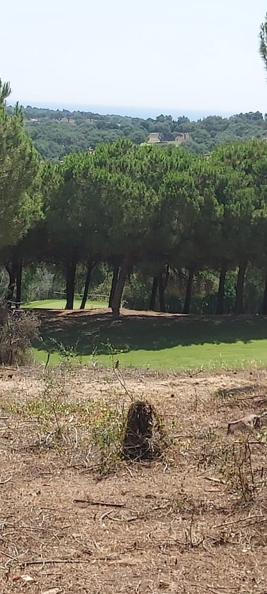 Byggegrund til salg i Sotogrande - € 950.000 (Ref: 8161114)