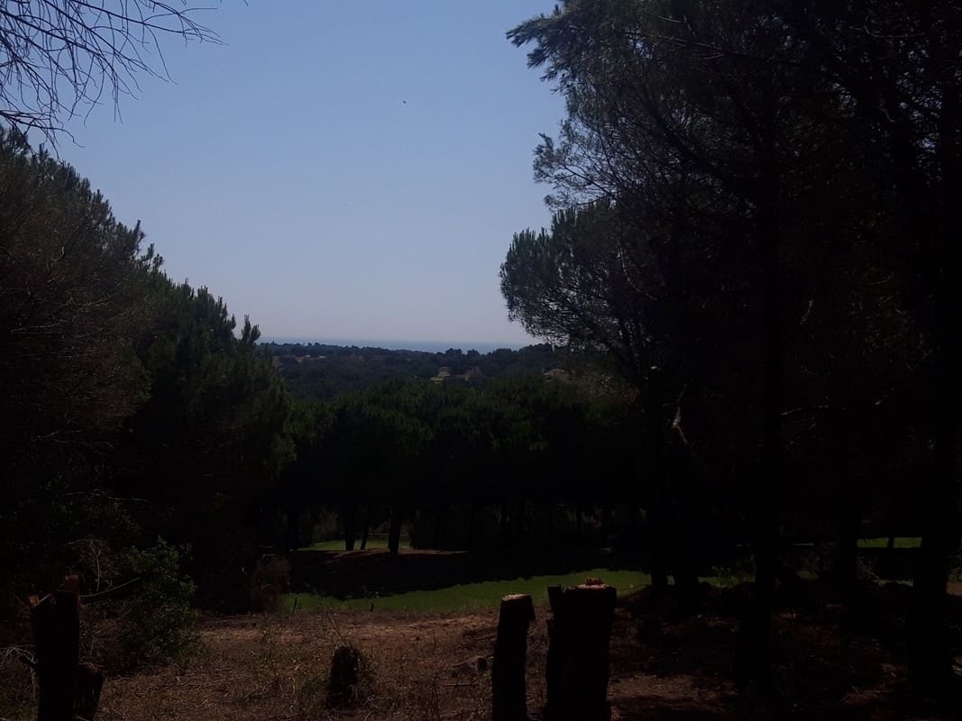 Area Edificabile in vendita in Sotogrande - 950.000 € (Rif: 8161114)