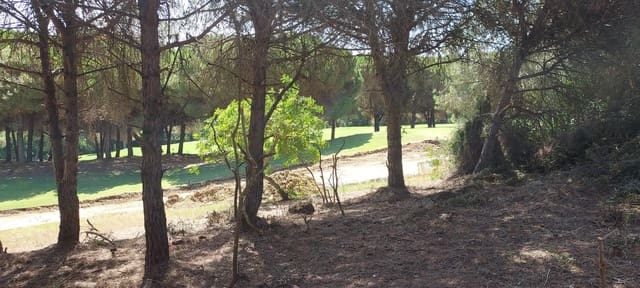 Bouwgrond te koop in Sotogrande Alto, San Roque - € 950.000 (Ref: 8161114)