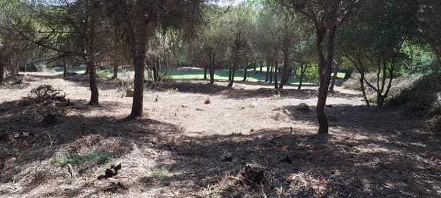 Bouwgrond te koop in Sotogrande Alto, San Roque - € 950.000 (Ref: 8161114)