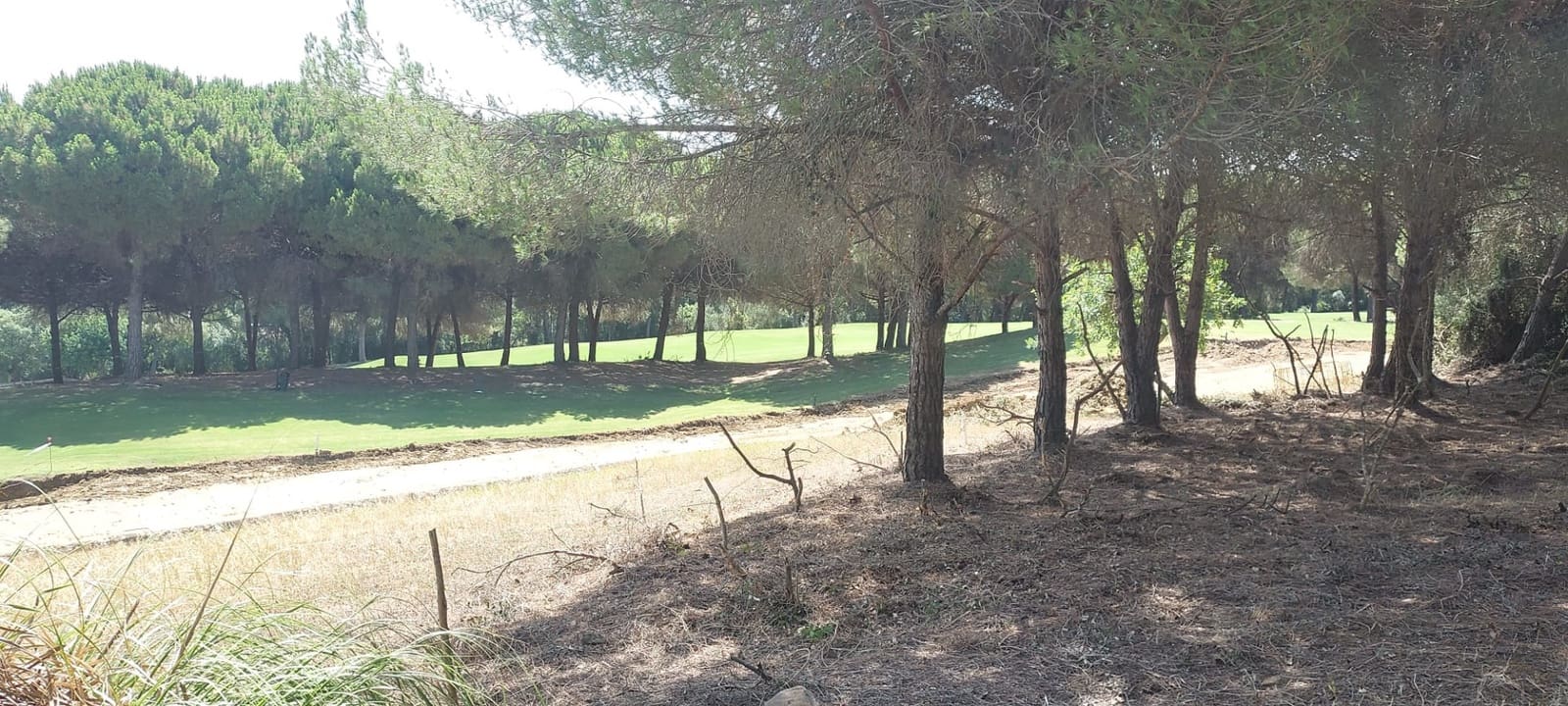 Area Edificabile in vendita in Sotogrande - 950.000 € (Rif: 8161114)
