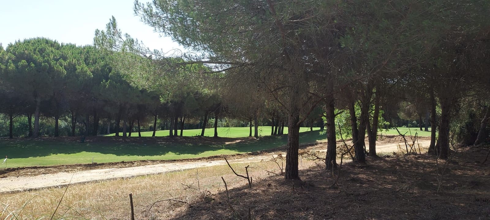 Area Edificabile in vendita in Sotogrande - 950.000 € (Rif: 8161114)