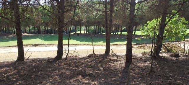 Bouwgrond te koop in Sotogrande Alto, San Roque - € 950.000 (Ref: 8161114)