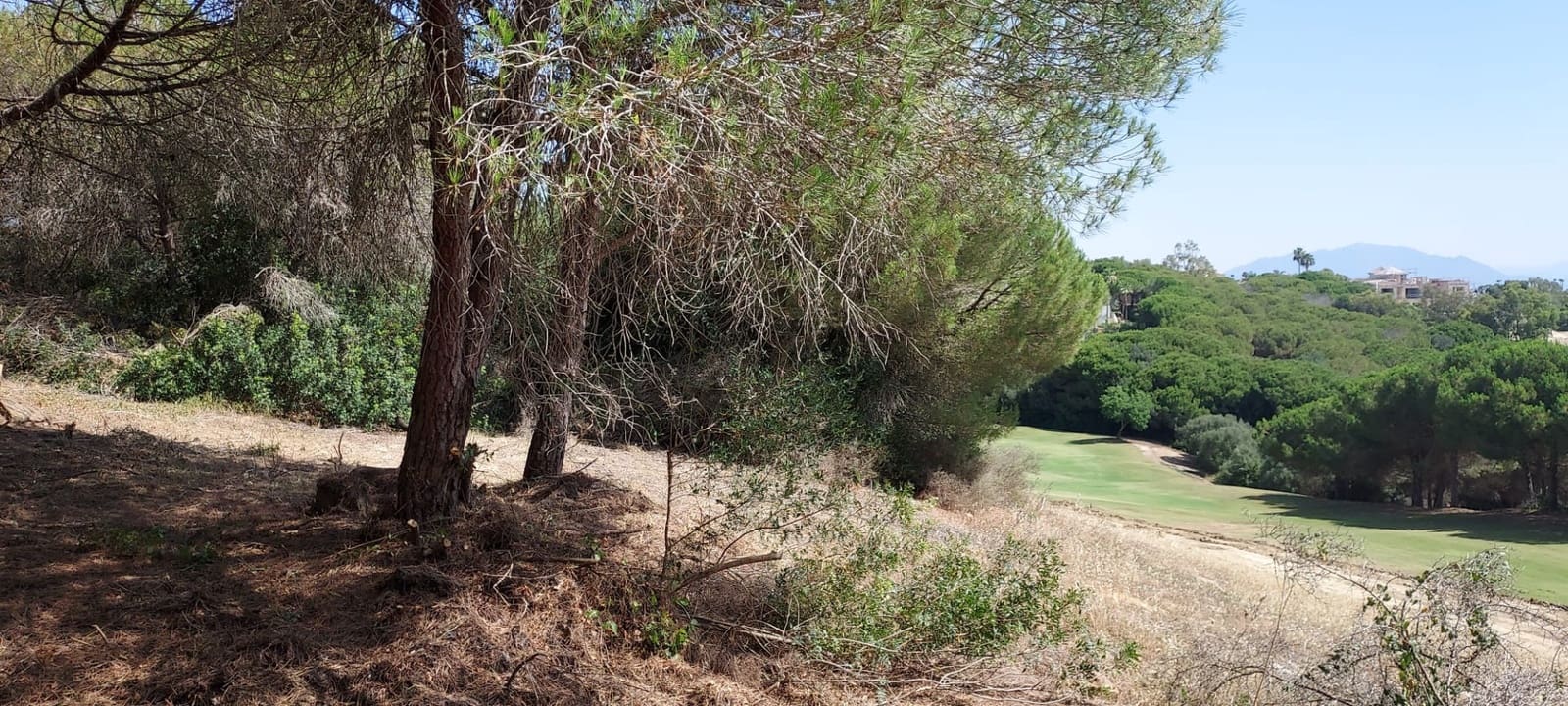 Area Edificabile in vendita in Sotogrande - 950.000 € (Rif: 8161114)