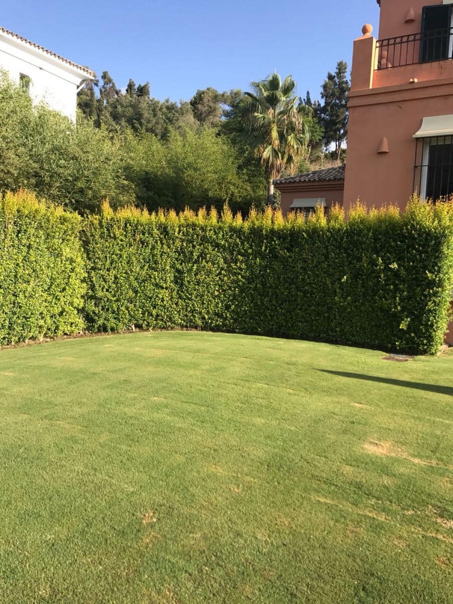 4 bedroom Villa for rent in Sotogrande with pool garage - € 6,500 (Ref: 8258605)