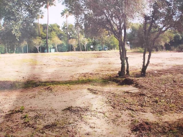 Terrain à Bâtir à vendre à Sotogrande Alto, San Roque - 450 000 € (Ref: 8556574)
