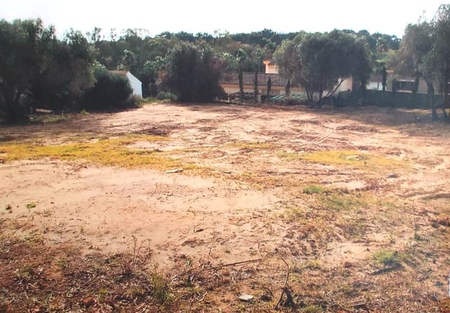Terrain à Bâtir à vendre à Sotogrande Alto, San Roque - 450 000 € (Ref: 8556574)
