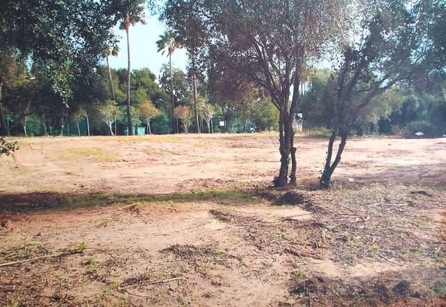 Terrain à Bâtir à vendre à Sotogrande Alto, San Roque - 450 000 € (Ref: 8556574)