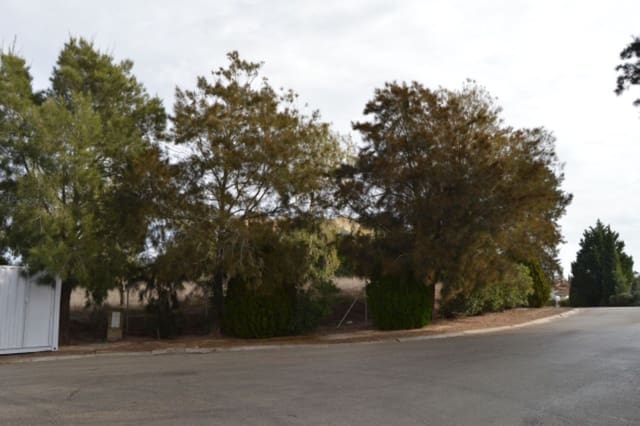 Area Edificabile in vendita in Sotogrande Alto, San Roque - 490.000 € (Rif: 8769954)