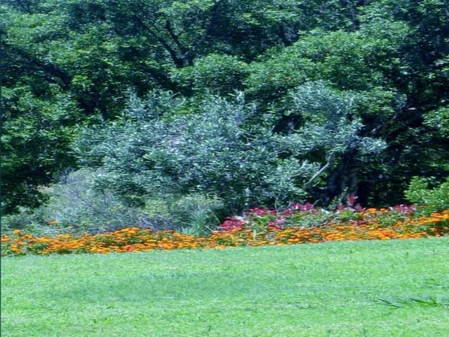 3 bedroom Apartment for sale in Sotogrande Alto, San Roque with garage - € 530,000 (Ref: 8838170)