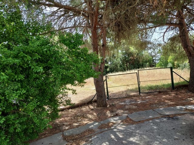 Area Edificabile in vendita in Puerto de Sotogrande - La Marina, San Roque - 265.000 € (Rif: 8985484)